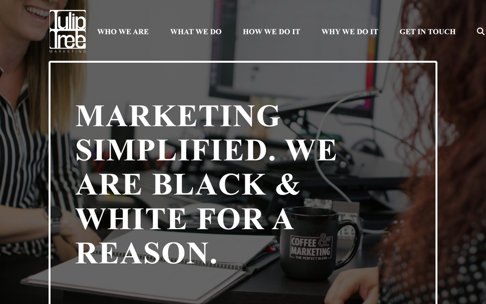 img of B2B Digital Marketing Agency - Tulip Tree Marketing